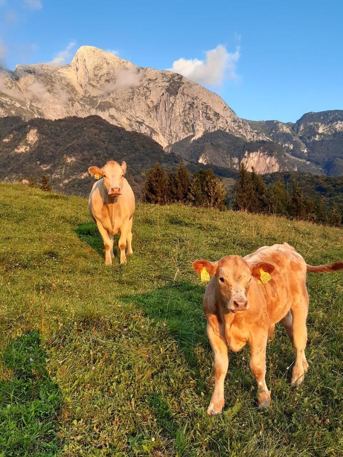 Tourist Farm Zvanc Kobarid Exteriér fotografie